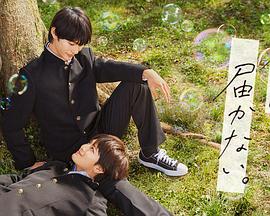 驻马店焦作seo优化